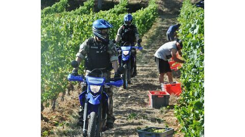 Vignette du programme télé 100 jours avec les gendarmes du Médoc