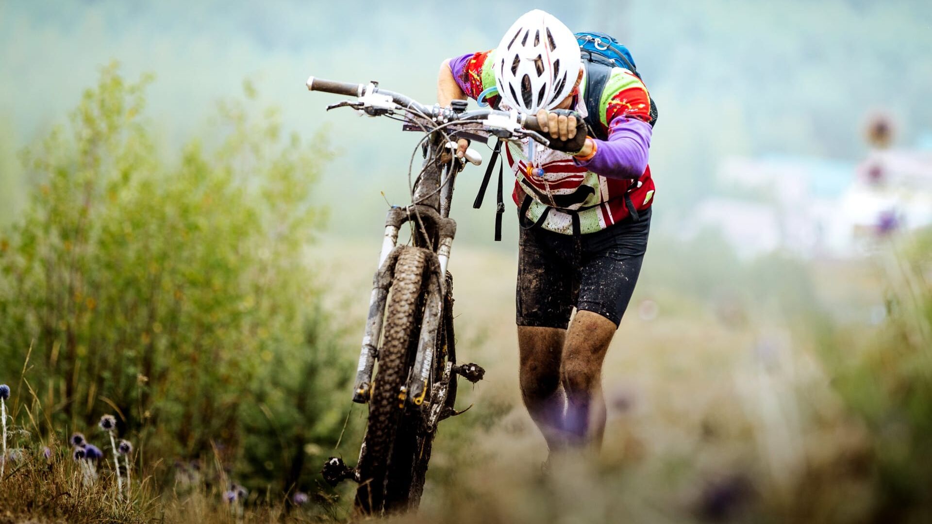 Vignette du programme télé VTT : Coupe du monde de descente et de cross-country | Courses dames et messieurs