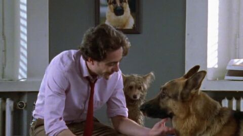 Vignette du programme télé Rex, chien flic