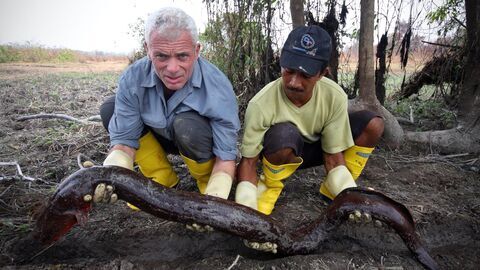 Vignette du programme télé River Monsters
