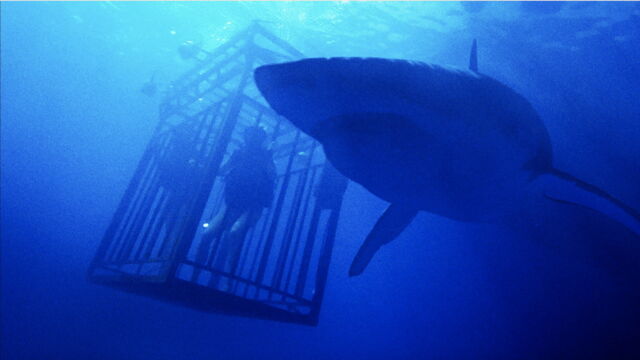 Vignette du programme télé 47 Meters Down