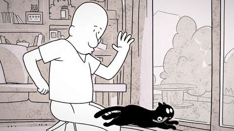 Vignette du programme télé Putain de chat !