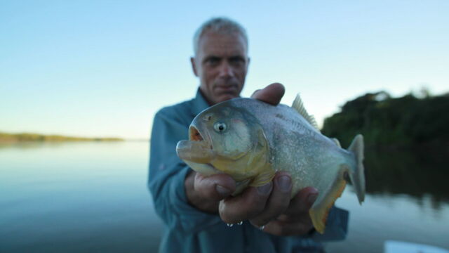 Vignette du programme télé River Monsters