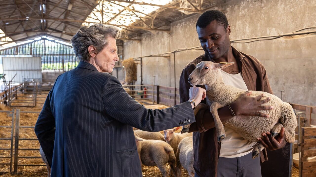 Vignette du programme télé A l'instinct