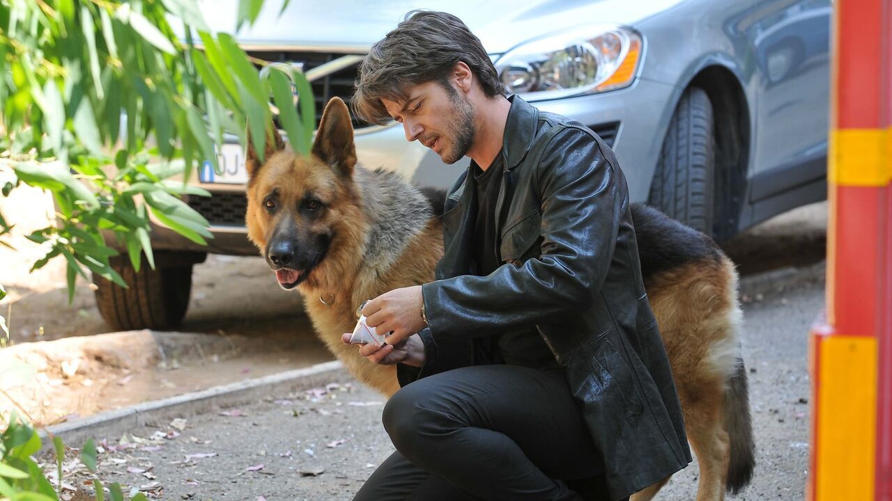Vignette du programme télé Rex, chien flic