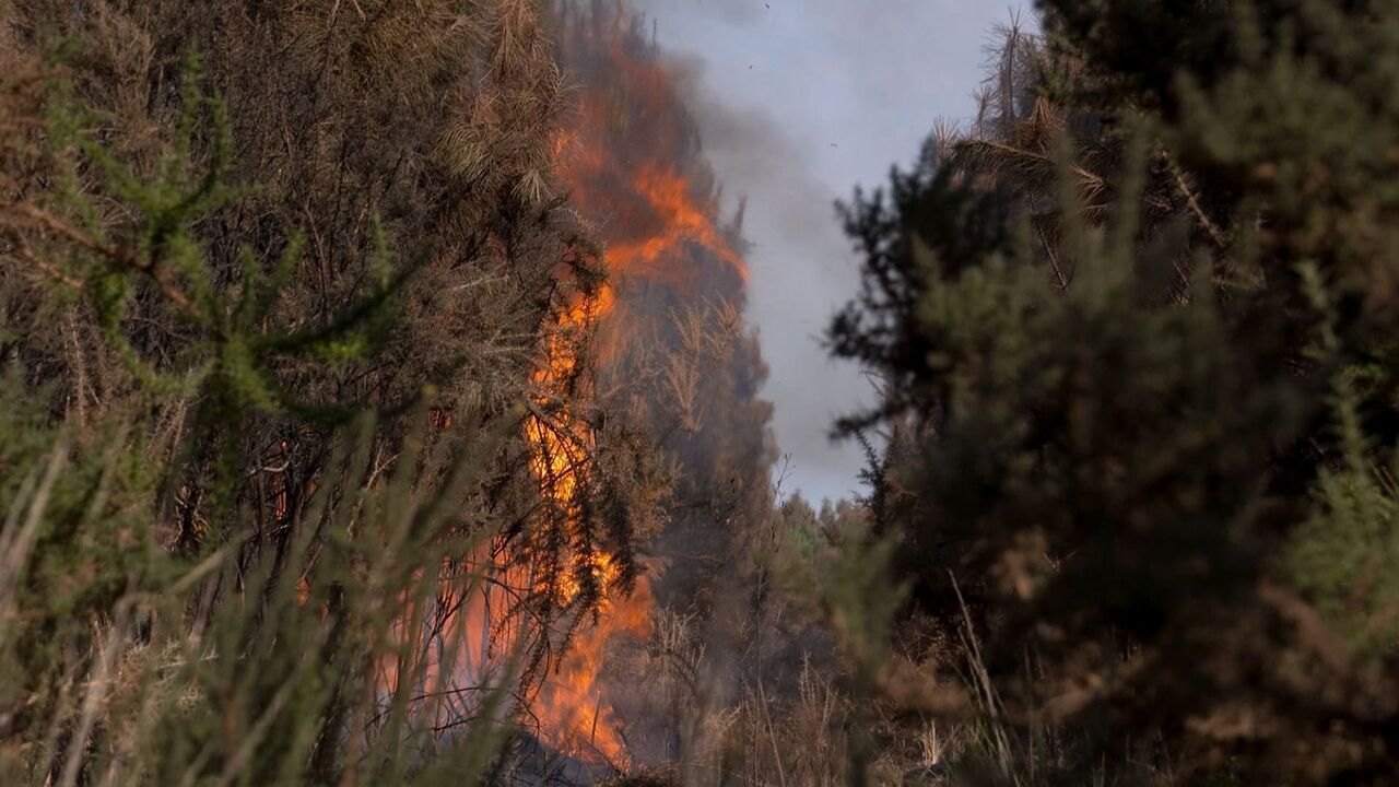 Vignette du programme télé France : le dessous des mégafeux