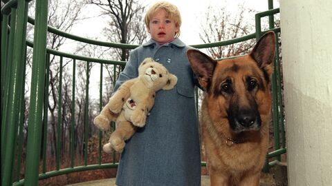 Vignette du programme télé Rex, chien flic