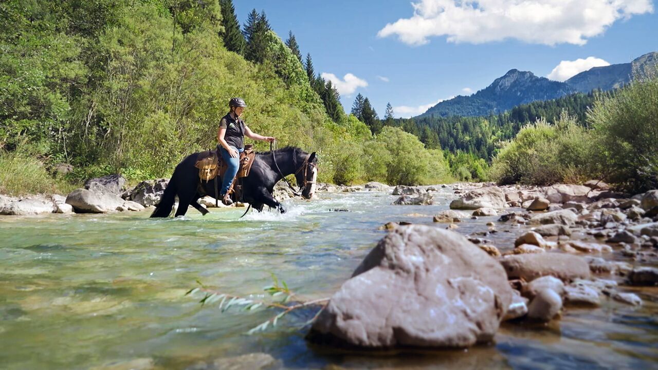 Vignette du programme télé Sur le chemin des Alpes bavaroises : Une féerie de lacs et de châteaux
