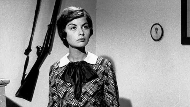Vignette du programme télé La poupée sanglante