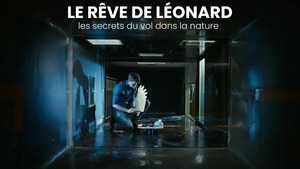 Vignette du programme télé Le rêve de Léonard les secrets du vol dans la nature