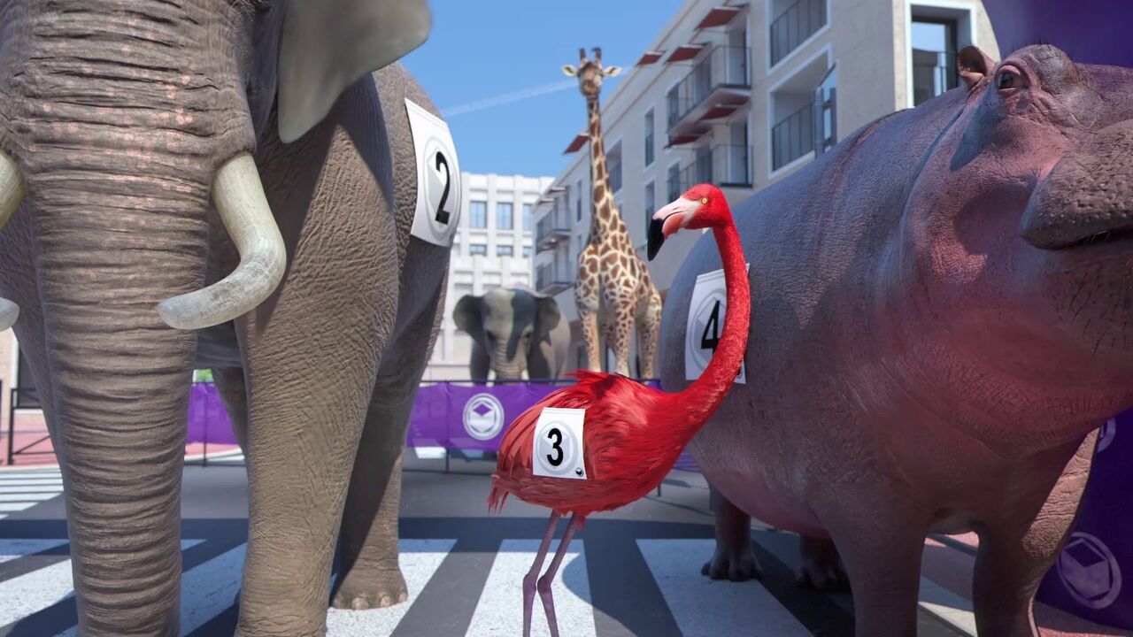 Vignette du programme télé Athleticus