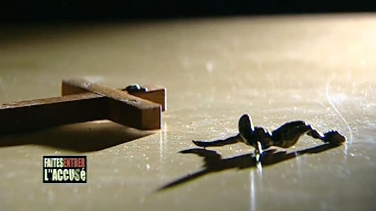 Vignette du programme télé Faites entrer l'accusé