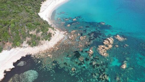 Vignette du programme télé Sale temps pour la planète (Corse, les possibilités d'une île) S17