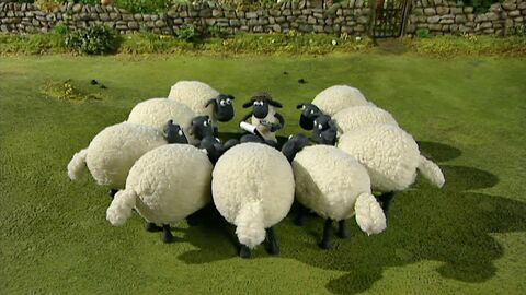 Vignette du programme télé Shaun le mouton