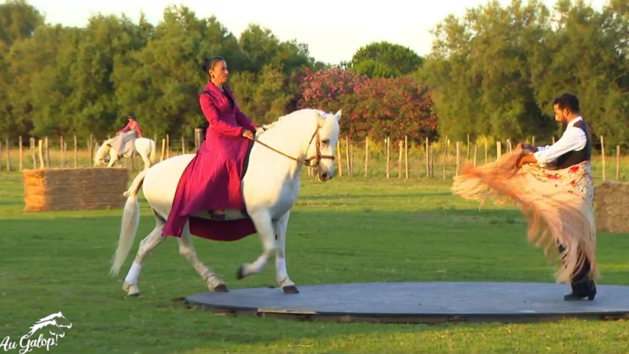 Vignette du programme télé Au galop !