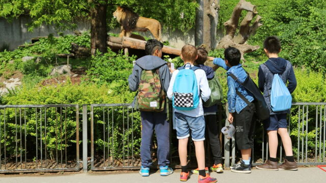 Vignette du programme télé Une saison au zoo