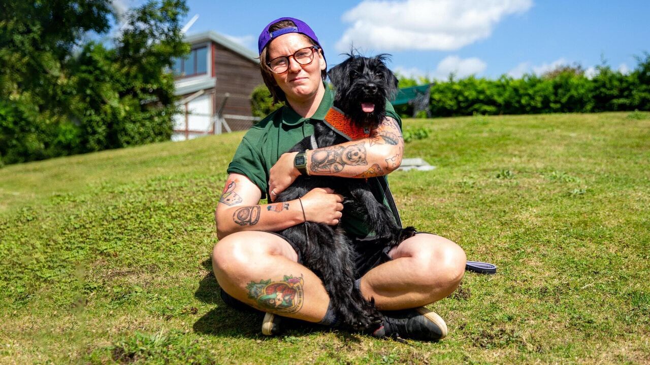 Vignette du programme télé Dog House : un chien pour la vie