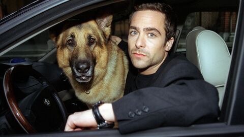Vignette du programme télé Rex, chien flic
