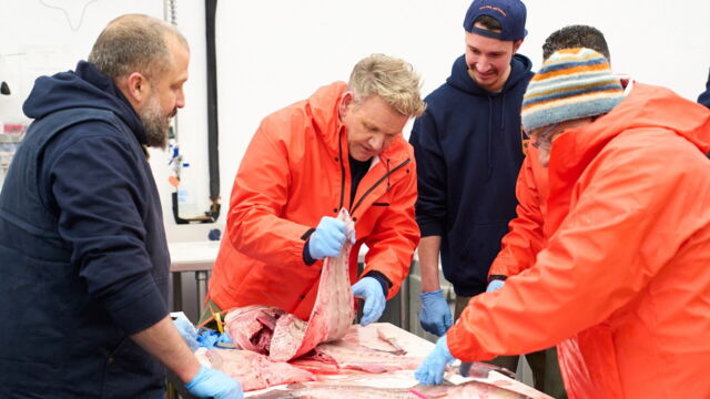 Vignette du programme télé Gordon Ramsay : mission extrême