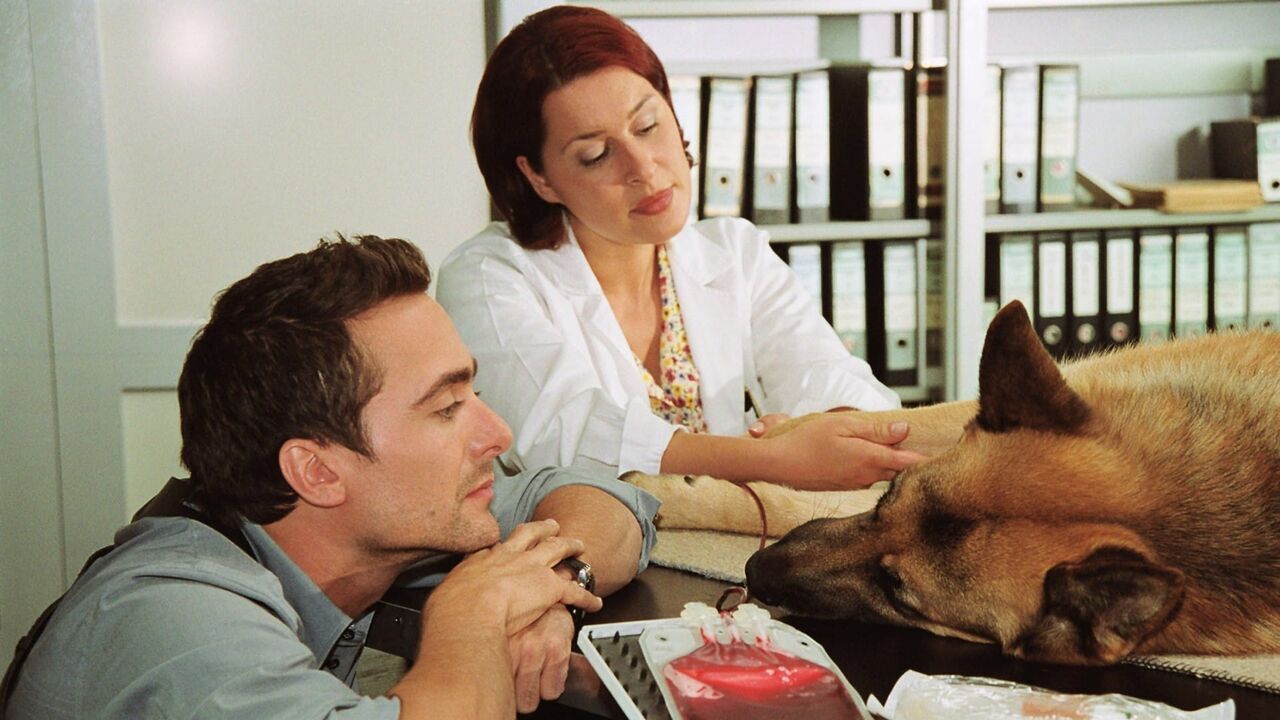Vignette du programme télé Rex, chien flic