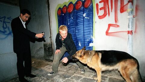 Vignette du programme télé Rex, chien flic