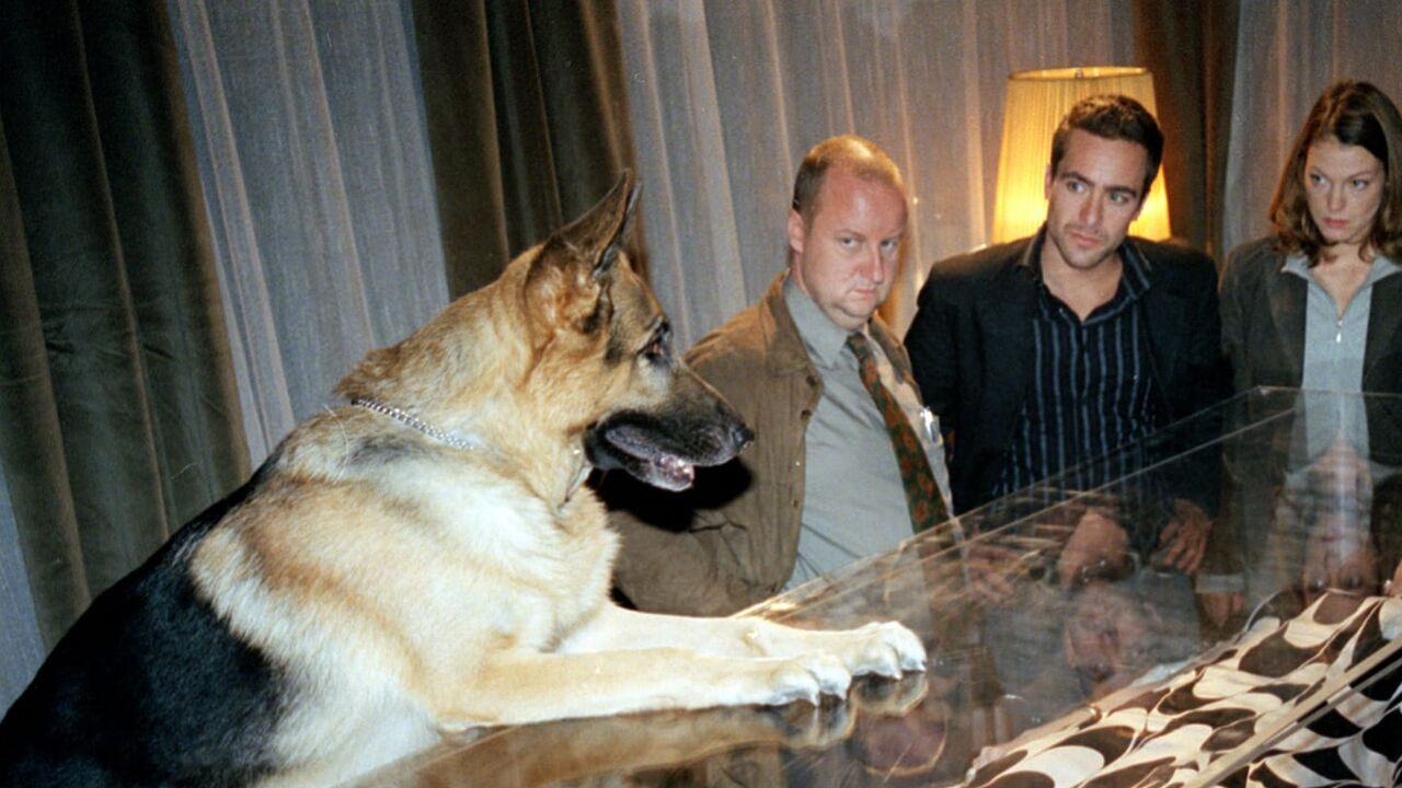 Vignette du programme télé Rex, chien flic