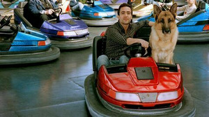 Vignette du programme télé Rex, chien flic (Le défi) S9 (11/13)