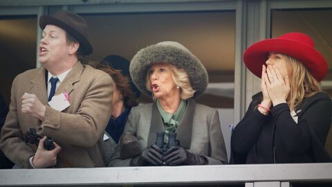 Vignette du programme télé Camilla, la reine qui ne voulait pas être reine