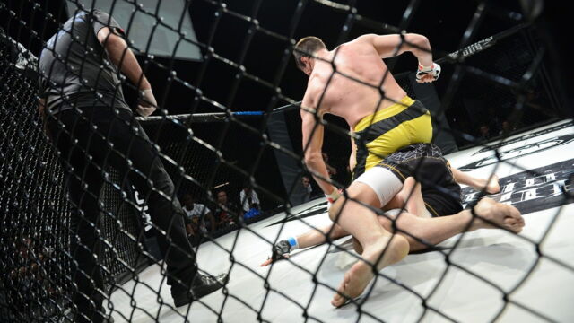 Vignette du programme télé UFC Fight Night