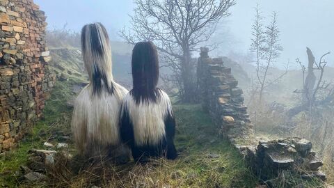 Vignette du programme télé Bulgarie, les chasseurs de démons