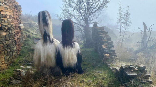 Vignette du programme télé Bulgarie, les chasseurs de démons