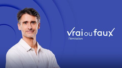 Vignette du programme télé Vrai ou faux, l'émission