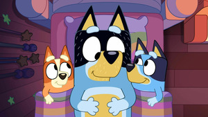Vignette du programme télé Bluey Minisodes (Boucle d'or et les trois ours) S1 (n°19)