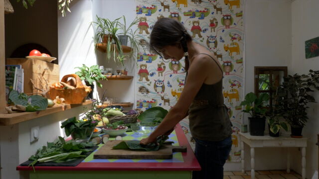 Vignette du programme télé La civilisation des arbres