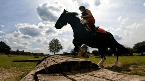 Vignette du programme télé Au galop !