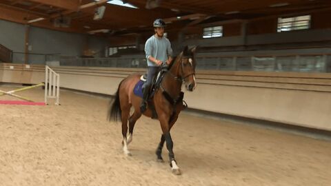 Vignette du programme télé Au galop !