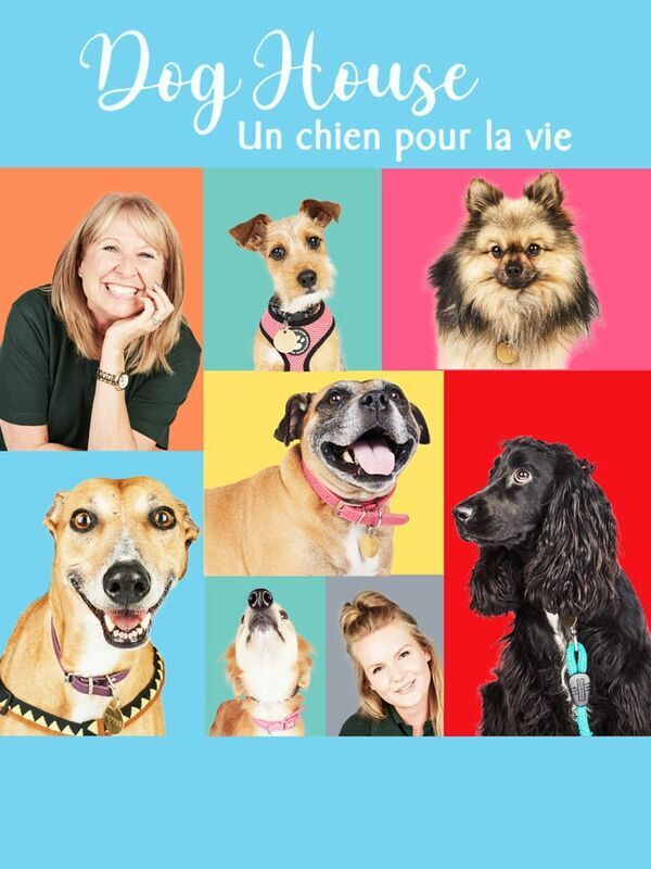Vignette du programme télé Dog House : un chien pour la vie