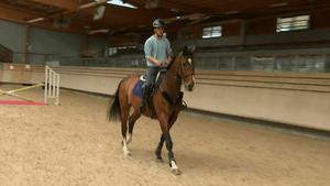 Vignette du programme télé Au galop ! S6 (n°2)