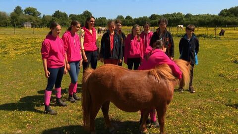 Vignette du programme télé Au galop !
