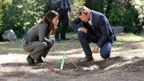 Vignette du programme télé Mentalist