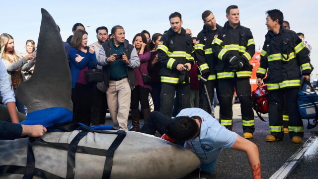 Vignette du programme télé 9-1-1
