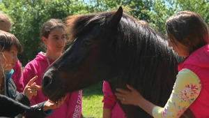 Vignette du programme télé Au galop ! S6 (n°5)