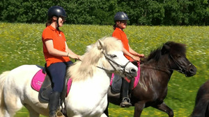 Vignette du programme télé Au galop ! S6 (n°6)
