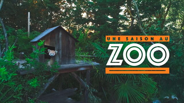 Vignette du programme télé Une saison au zoo