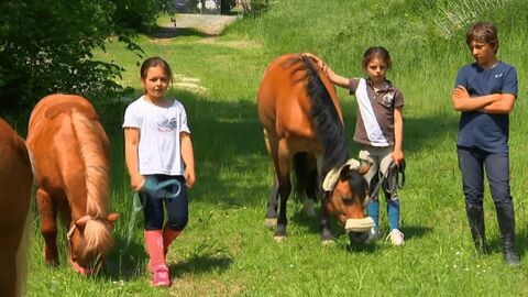 Vignette du programme télé Au galop !