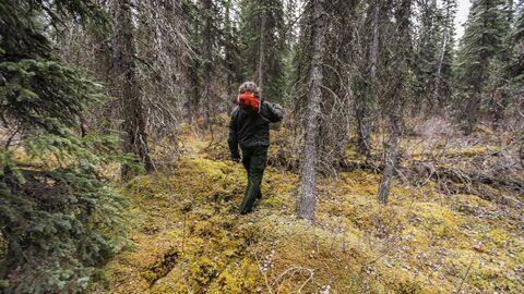 Vignette du programme télé Seuls face à l'Alaska
