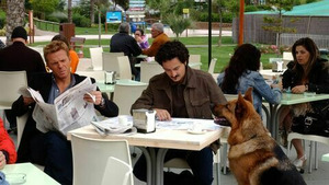 Vignette du programme télé Rex (Mort au delphinarium) S12 (2/11)