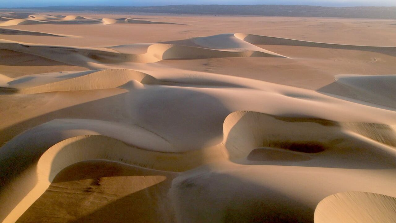 Vignette du programme télé Les nouveaux sanctuaires de la nature