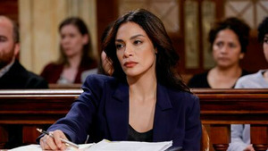 Vignette du programme télé New York police judiciaire (Qu'importe les moyens) S22 (4/22)