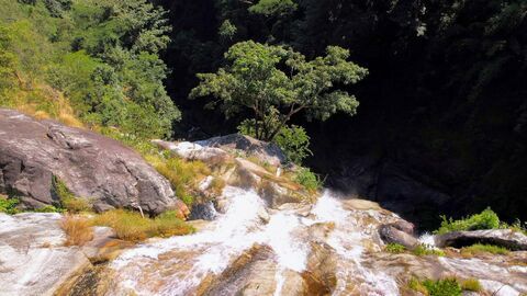 Vignette du programme télé Les nouveaux sanctuaires de la nature